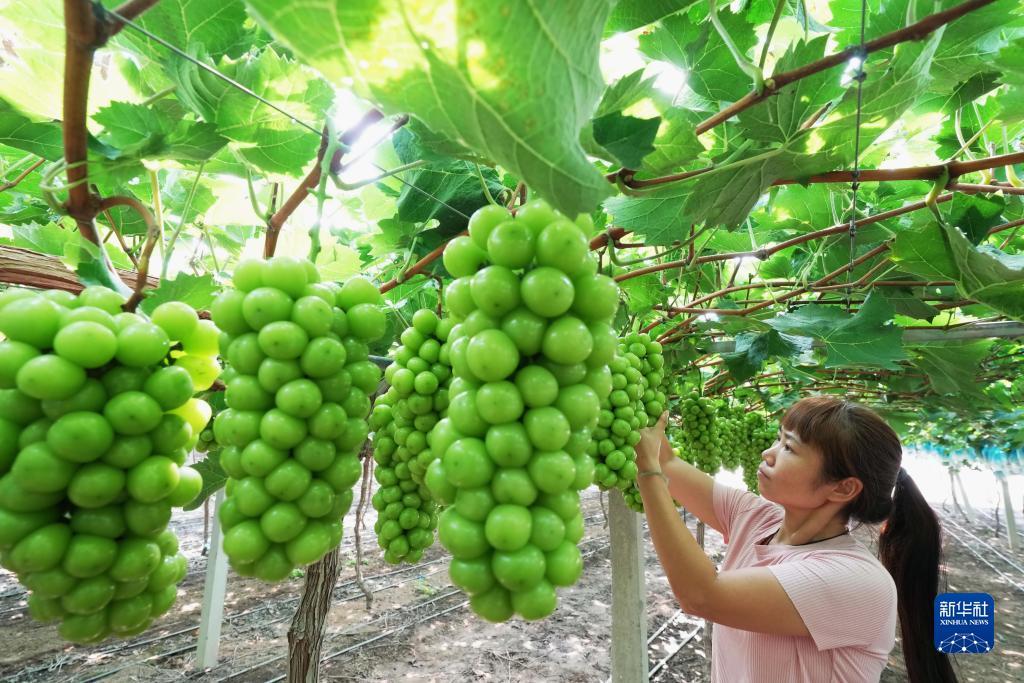 赌博平注制胜